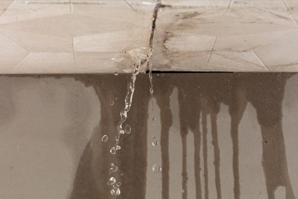 Professional Water Damage Repair technician working in Waterloo, IL